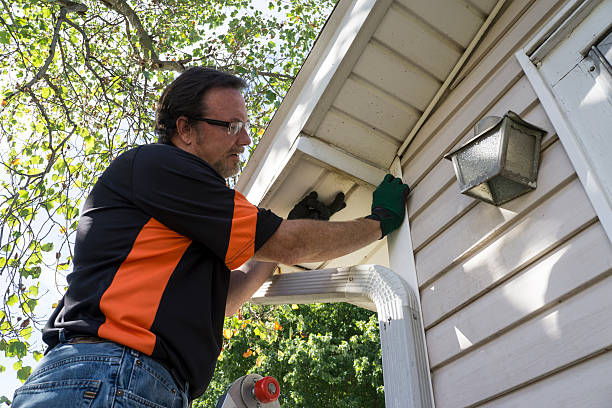 Best Shed Removal  in Fruitland, NC